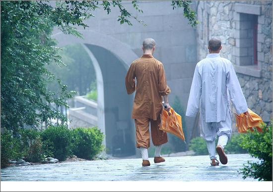 雨后北京龙泉寺(图：龙泉视界)